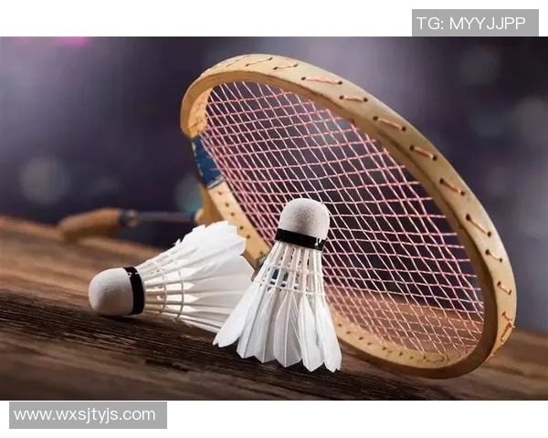 科学羽毛球力量训练全攻略提升你的竞技水平与身体素质