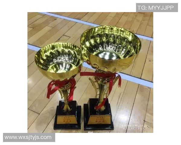 西安羽毛球队近期状态分析与未来发展方向探讨